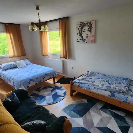 Daire Lavirint Ravne